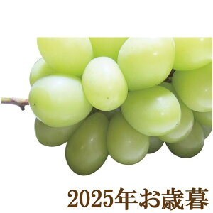 ΕMtg2025w_Cʉ VC}XJbgx(s)