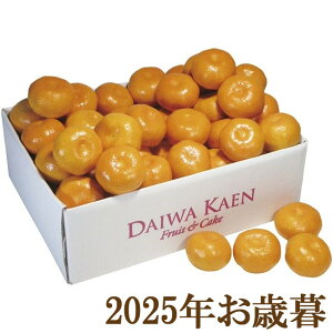 ΕMtg2025w_Cʉ a̎RY Lc݂x(s)