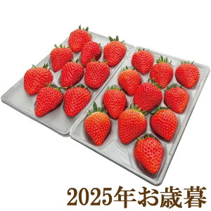 ΕMtg2025w Y Hה׃Mtg 270g×2x(s)