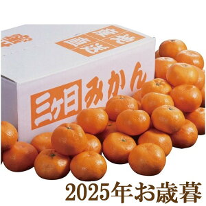 ΕMtg2025wÉY OP݂ STCY(5kg)x(s)