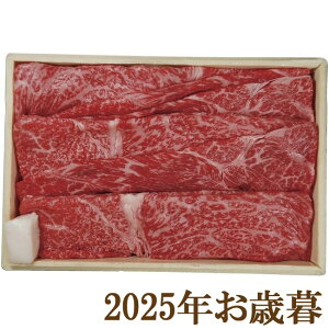 ΕMtg2025wsE^ YјaĂp 600gx(s)