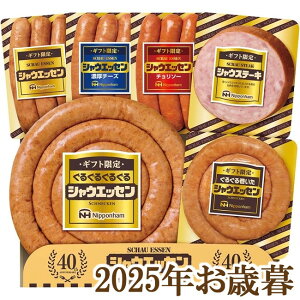 ΕMtg2025wjb|n MtgVEGbZ SEG-500x(s)