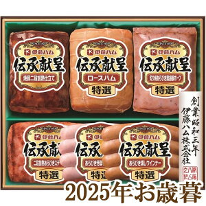 ΕMtg2025wɓn `Mtg GM-56x(s)