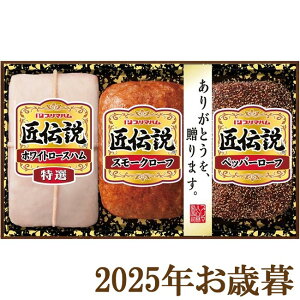 ΕMtg2025wv}n `Mtg TL-390x(s)