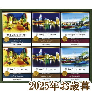 ΕMtg2025wLoR[q[ _LoR[q[ hpbNR[q[x(s)