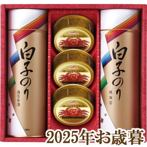 ΕMtg2025wq̂ CہEɊʋl SN-400x(s)