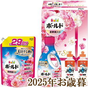 ΕMtg2025wP&G {[ht̐܃MtgZbg PGCB-30Fx(s)