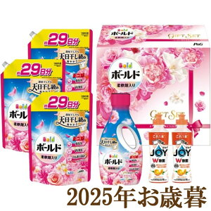 ΕMtg2025wP&G {[ht̐܃MtgZbg PGCB-50Fx(s)