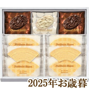 ΕMtg2025w[nC EB^[MtgZbg PC-30x(s)