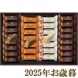 ΕMtg2025w[`R[g ~tB[ 0377x(s)