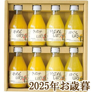 ΕMtg2025wɓ_ 100%sAW[X8{MtgZbgx(s)