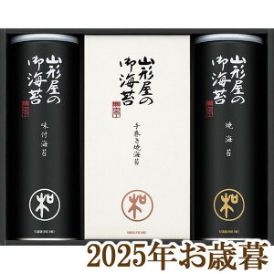 ΕMtg2025wR`CۓX aV[Y Cۋl MSV-500x(s)