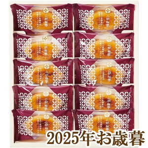 ΕMtg2025wЂƂƂ ˈ KGB-10x(s)