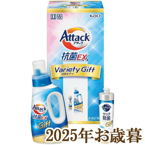 ΕMtg2025wԉ A^bNREXoGeB[Mtg KEAU-10Ax(s)