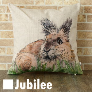 NbVJo[ ETM kfUC 45×45 l VR  nhCh W[W[ E[[ Daria Pet Design v[g Mtg V V zj Vz q   