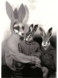W{o[g Jimbobart A4 A[gvg Rabbit Costume 250 MTC G CeA  k v[g Mtg V V zj Vz q   