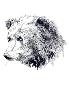 W{o[g Jimbobart A4 A[gvg Bear xA 250 MTC G CeA  k v[g Mtg V V zj Vz q   