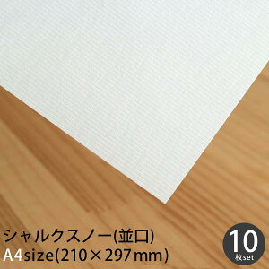 VNXm[() 10 A4 210×297mm 0.2mmy [OK z