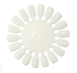 10枚セット ネイル カラーチャート ラウンドタイプ 円形 ナチュラルホワイト クリアー