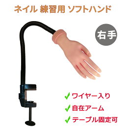 楽天市場 ネイル ハンド 練習 ネイルアート用品 ネイル 美容 コスメ 香水の通販