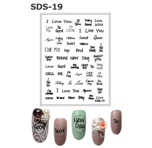 MEMORY lCV[ XebJ[ SDS-19 At@xbg