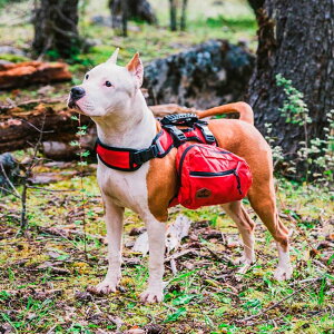 y^E^z pbN ybgbN L[obN hbOobO obNpbN ThobO RpNg ߉\ ƂUEspEo