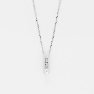 X^[OVo[ lbNX AM[Ή `F[p[ Vv ꗱ