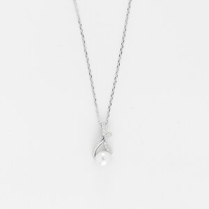 X^[OVo[ lbNX AM[Ή p[ NX CZ WRjA