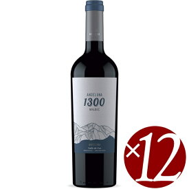 【まとめ買い】アンデルーナ マルベック/アンデルーナ　セラーズ (赤ワイン）750ml×12本