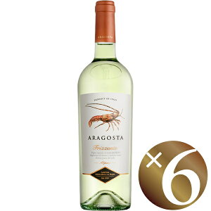 ASX^ tbc@e/T^E}AEEp} 750ml×6{ (Xp[NOCj yXp[NOC A A Y_ A AC nEB NX}X a 