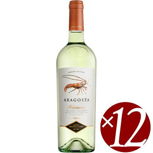 ASX^ tbc@e/T^E}AEEp} 750ml×12{ (Xp[NOCj yXp[NOC A A Y_ A AC nEB NX}X a 