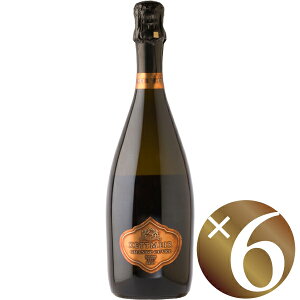 OELF ubg/Pbg}C[ 750ml×6{ (Xp[NOCj yXp[NOC A A Y_ A AC nEB NX}X a j p[