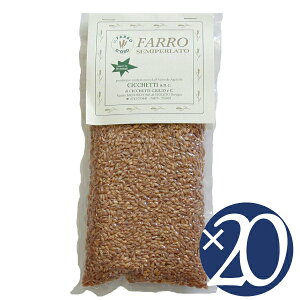 �y���������z�y�P�[�X�����z�t�@�b�����X�y���g������ �Z�~�y�����[�g/�`�b�P�b�e�B�@500g×20�@(������)