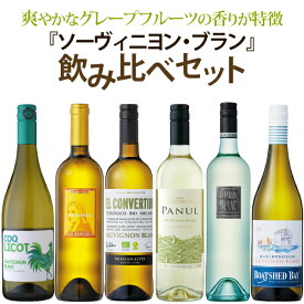 【ポイント5倍(4日20時から)】ソーヴィニヨン・ブラン飲み比べセット　750ml×6本