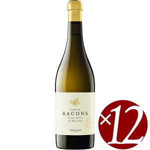 【P2倍!27日朝10時まで】【まとめ買い】マカベオ フィンカ ラコンス/トーマス・クシネ (白ワイン)750ml×12本