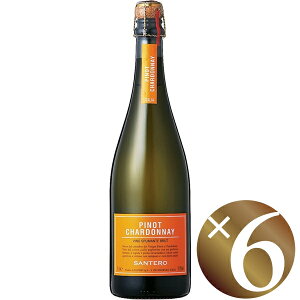 sm Vhl Xv}e/Te 750ml×6{iXp[NOjyXp[NOC A A Y_ A AC nEB NX}X a j p[eB[z