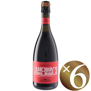 NG`I[ bWA[m uXR h`F/fB`EG[e 750ml×6{ iԃXp[NOj y܂Ƃߔ/P[X/ƖpzyXp[NOC A Y_ A 