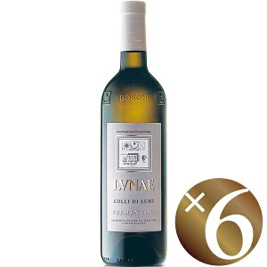 y|Cg5{(272܂)zyP[XzgG`Pb^EO[Wh RbEfBE[j@FeB[m/iG@750ml ×6{(C)y܂ƂߔzyP[XzyƖpz