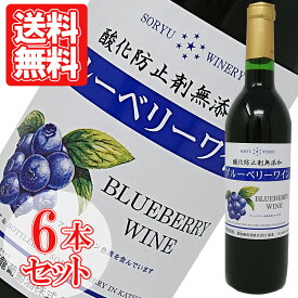 ブルーベリーワイン 酸化防止剤無添加 蒼龍葡萄酒 山梨 勝沼 ミディアムボディ 辛口 720ml お得な6本セット ワイン 送料無料 ワインセット 家飲み 宅飲み wine wain プレゼント ギフト 母の日