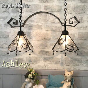 _Ng[ Ɩ  킢 VfA y_gCg 2 V[OCg y_gv XehOX v LEDΉ t[ Apple HoLic y 2Lights Ashley AV[ z