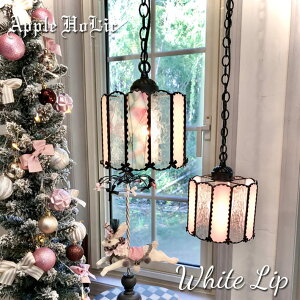 y_gCg 킢 V[OCg XehOX v Ɩ y_gv  VƖ X܏Ɩ rOCg LEDΉ zCg { Apple HoLic y White Lip zC