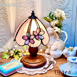 XehOX v X^h Ɩ e[uv }`bN u^Ɩ  킢 rOƖ ԐڏƖ Mtg v[g nhCh LEDΉ  4̉ a sN Witch