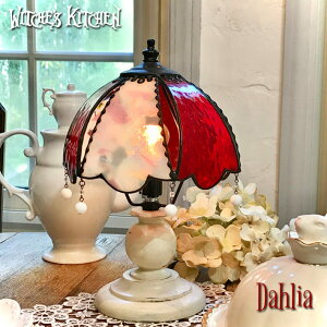 XehOX v X^h Ɩ e[uv }`bN u^Ɩ  킢 rOƖ ԐڏƖ Mtg v[g nhCh LEDΉ bh Witche's Kitchen yDahl