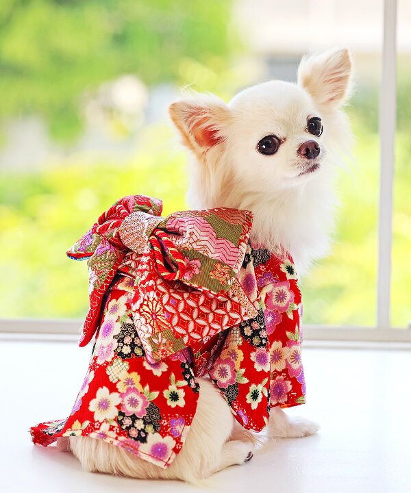 楽天市場】【10％OFF/犬 服 犬着物 犬と生活 犬服 着物 振袖 七五三 