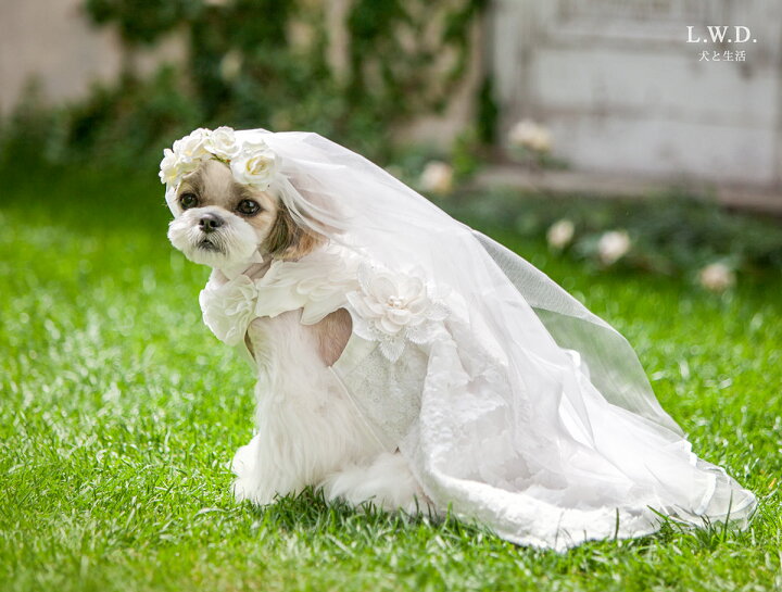 楽天市場 ウェディングドレス犬と生活 フォーマル 犬服 ドレス 結婚式 撮影 犬と生活 猫の暮らし 楽天市場 ウェディングドレス犬と生活 フォーマル 犬服 ドレス 結婚式 撮影 犬と生活 猫の暮らし