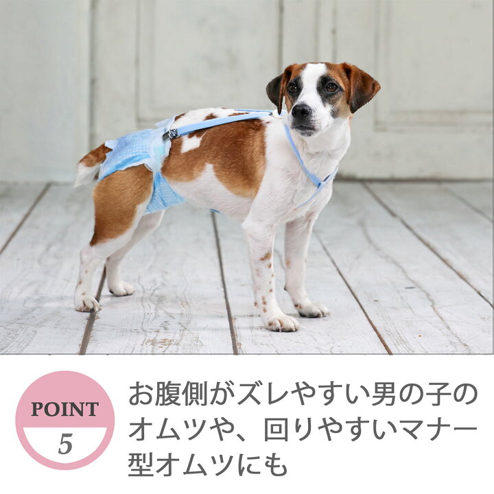 58 Off 擦れないサスペンダー ブルー L Xl 犬と生活 Shipsctc Org