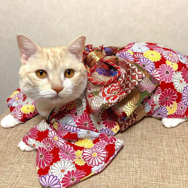 振袖 猫柄着物 洗える着物 着物 猫柄 ベージュ ・女性用 Lサイズ