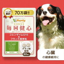 【初回限定半額キャンペーン】 犬 心臓 サプリ 国産 無添加 （心臓の健康維持） 心臓ケア 心臓サポート 咳 還元型コエンザイムQ10 フランス海岸松 ゴマエキス L-シトルリン L-カルニチン タウリン ペットサプリ【ウィズペティ 毎日健心 犬用サプリ チキン味錠剤 1袋60粒入】