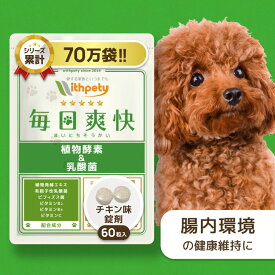 【初回限定半額キャンペーン】 犬 乳酸菌 消化酵素 サプリ 国産 無添加 （腸の健康維持） 有胞子性乳酸菌 ビフィズス菌 ビタミン 腸内環境 プロバイオティクス 消化サポート 腸球菌 菌活 腸活 善玉菌 酵素 【ウィズペティ 毎日爽快 犬用サプリ チキン味錠剤 1袋60粒入】