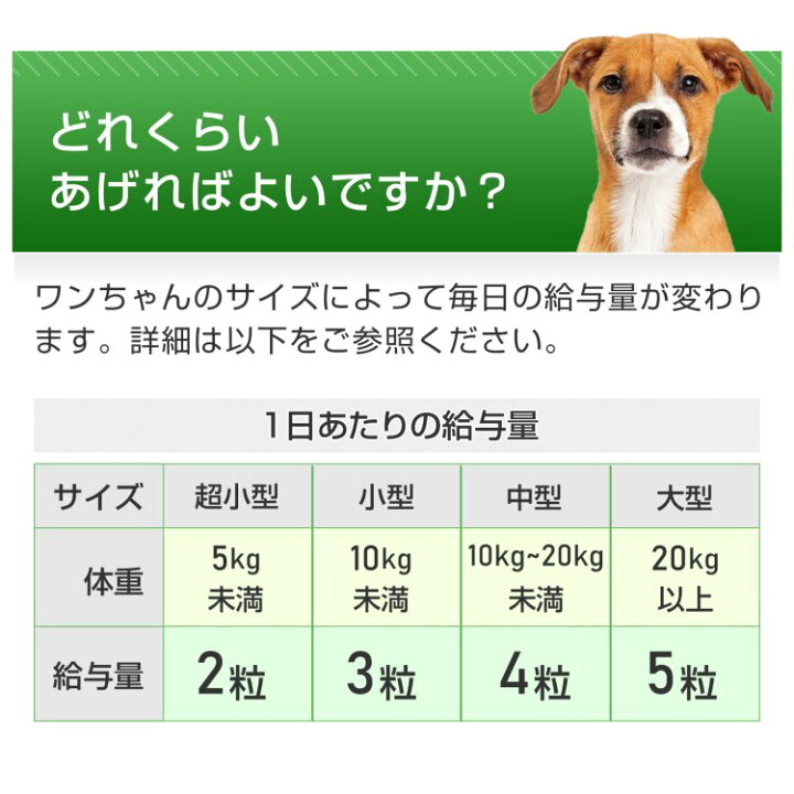 楽天市場 初回半額クーポンプレゼント 老犬の健康維持 7成分配合 Dha Epa 亜麻仁油 フェルラ酸 イチョウ葉 ビタミンe ビタミンb12 認知症 オメガ3 シニア犬 不安 夜鳴き 徘徊 リラックス ストレス 犬用サプリ 毎日一緒 ウィズペティ 楽天市場店